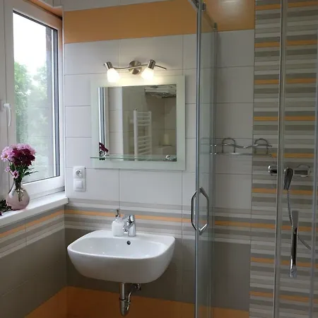 Apartment Diana Karlovy Vary