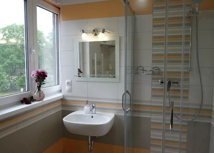 Apartment Diana Karlovy Vary